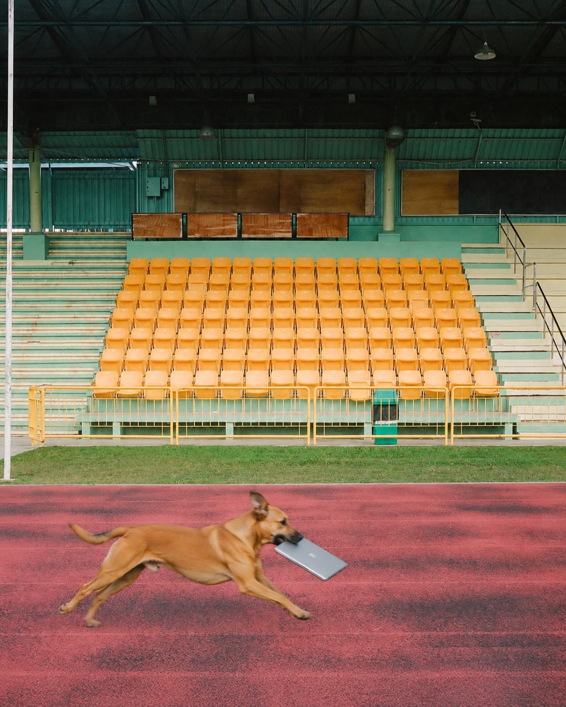 A dog running down an empty stadium track with a laptop in its mouth